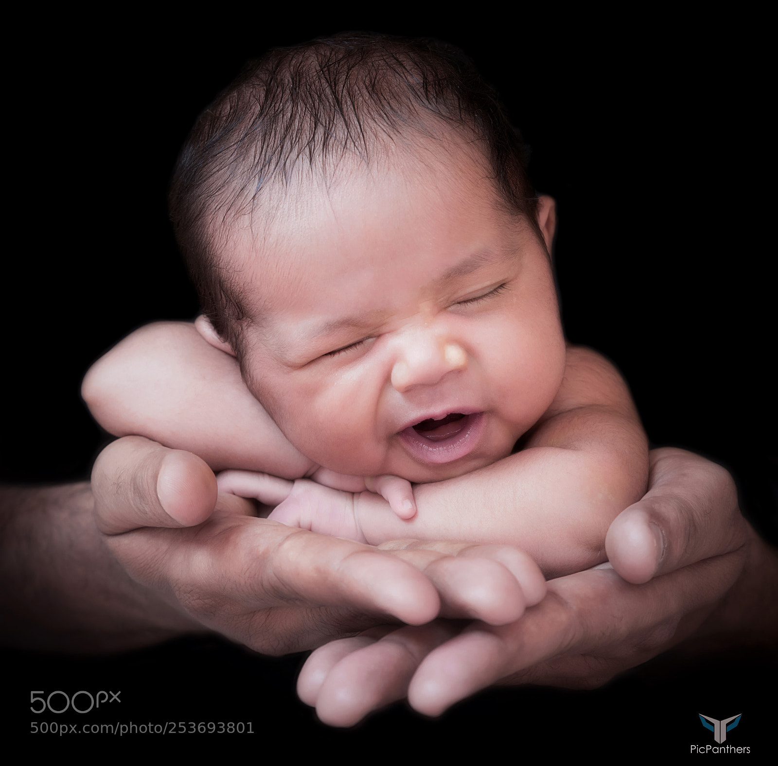 Nikon D810 sample photo. Untitled photography