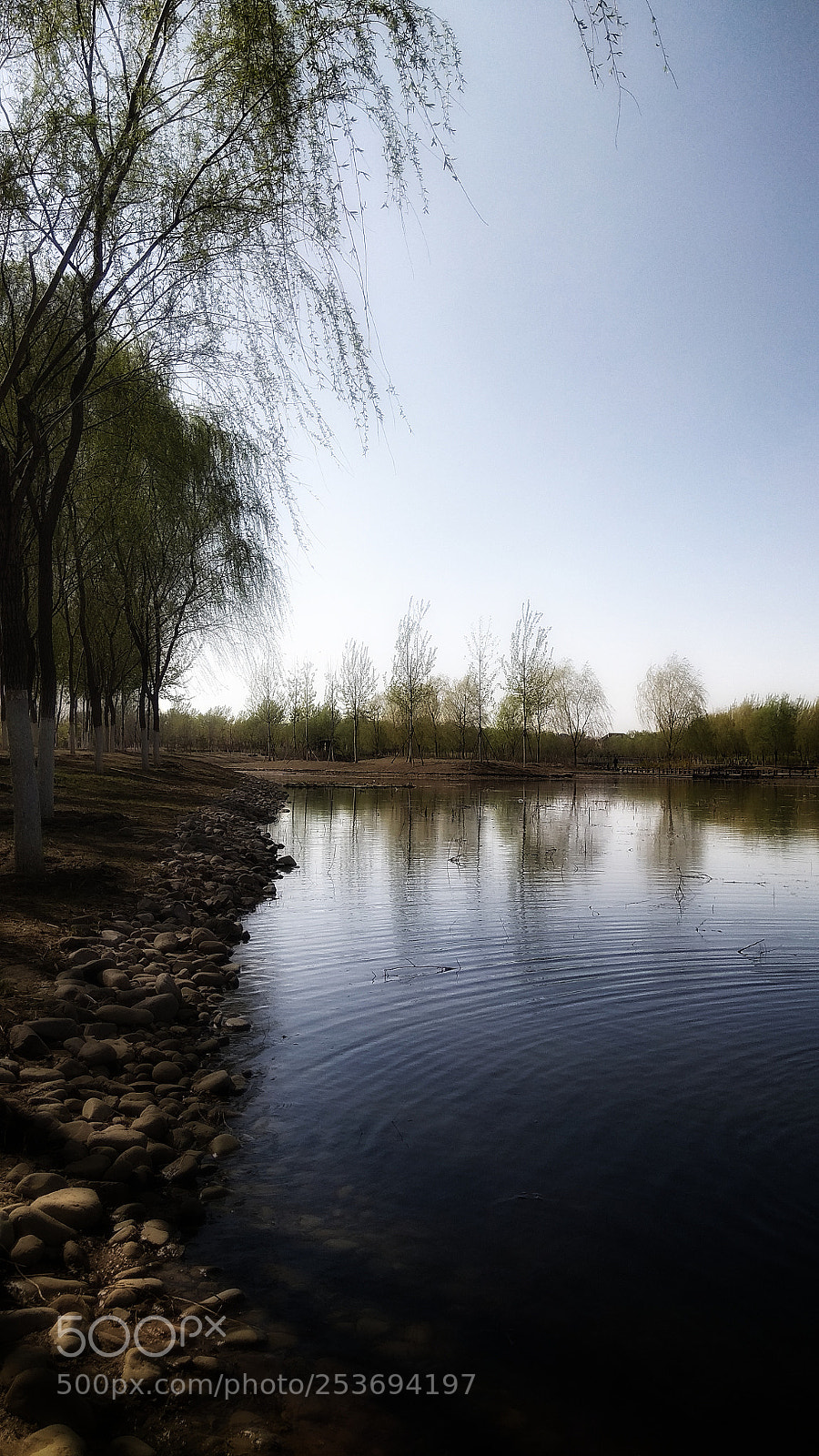 Xiaomi Redmi Note 4X sample photo. 10 photography