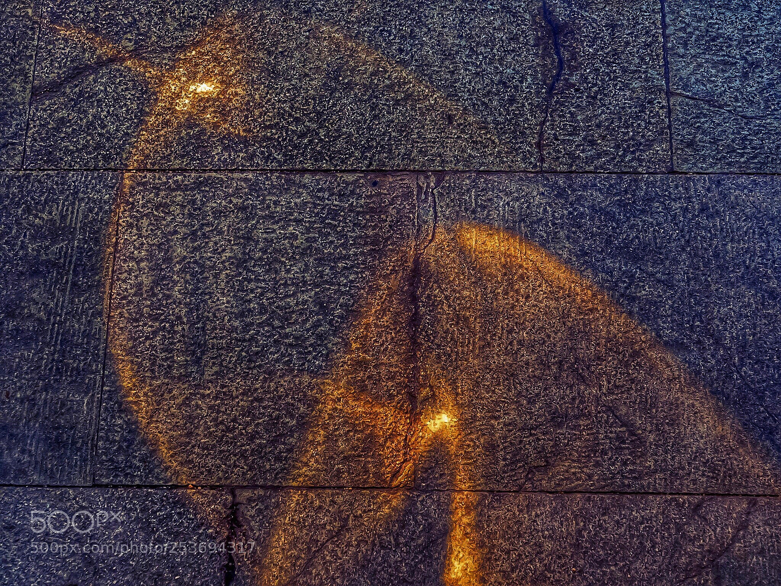 Olympus OM-D E-M1 Mark II sample photo. Shadow of gold photography