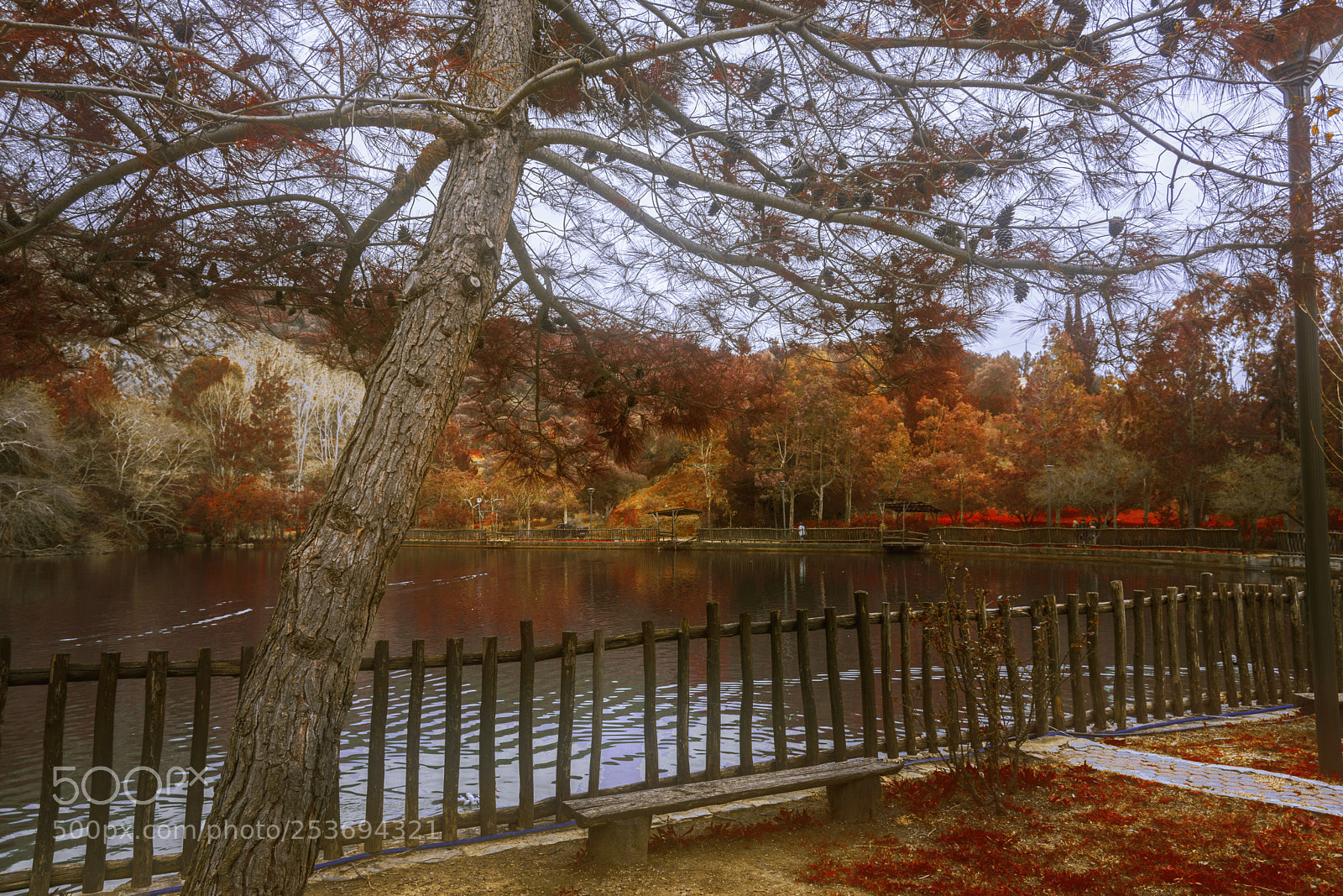 Nikon D610 sample photo. Lake zaros photography