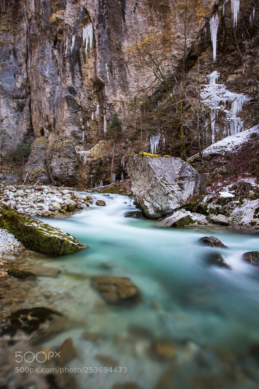 Canon EOS 5D Mark IV sample photo. Into the wild photography