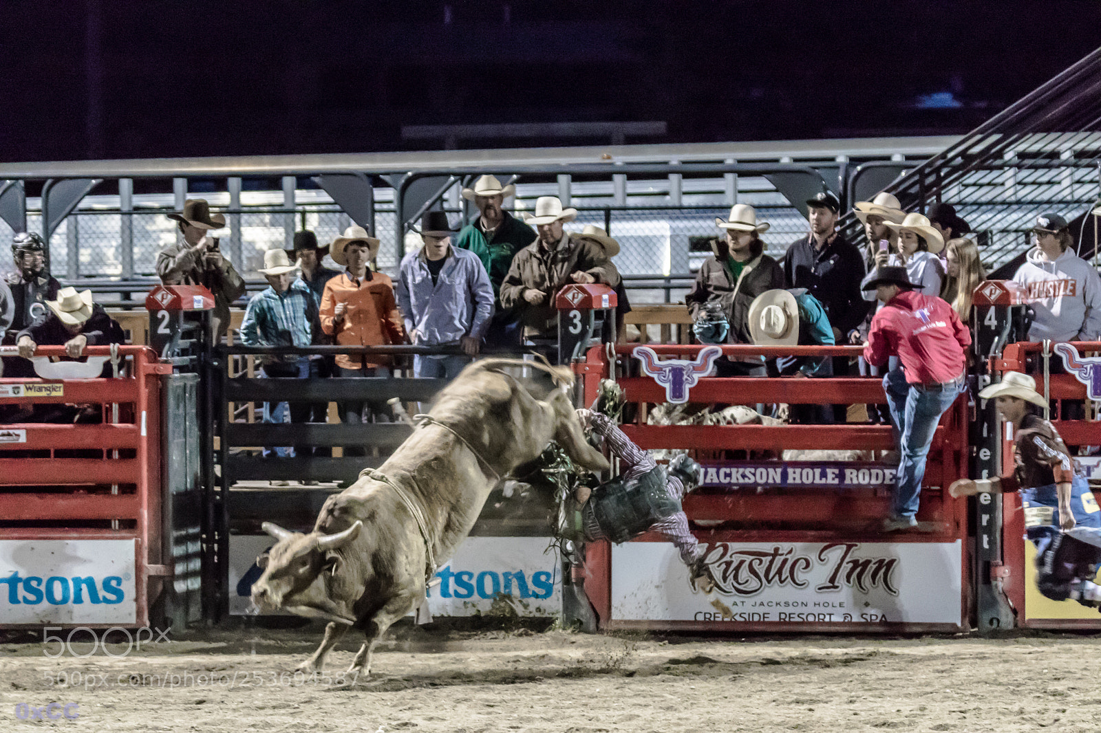Canon EOS 7D Mark II sample photo. Falling down photography