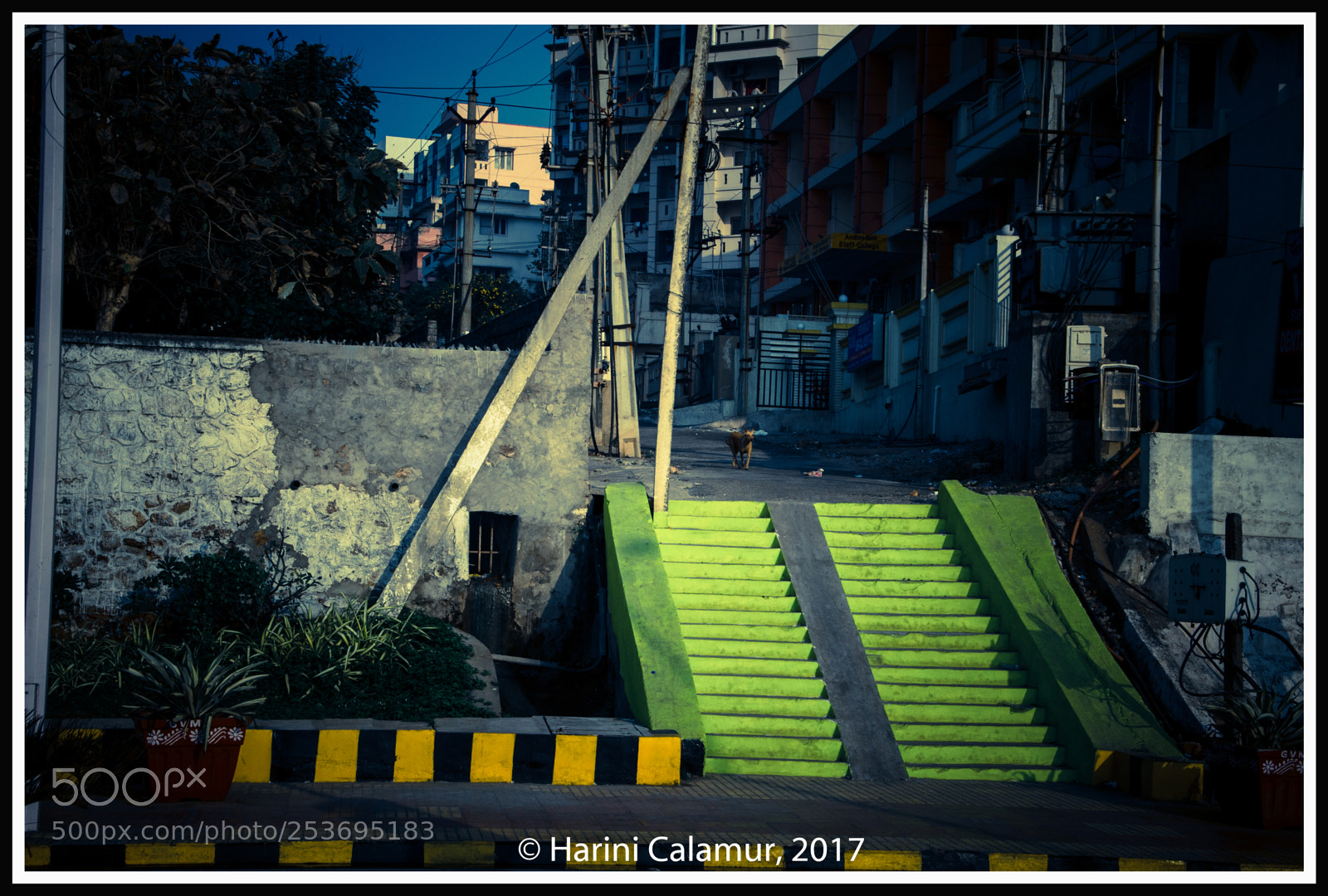 Nikon D7000 sample photo. Vishakapatnam beach road green photography