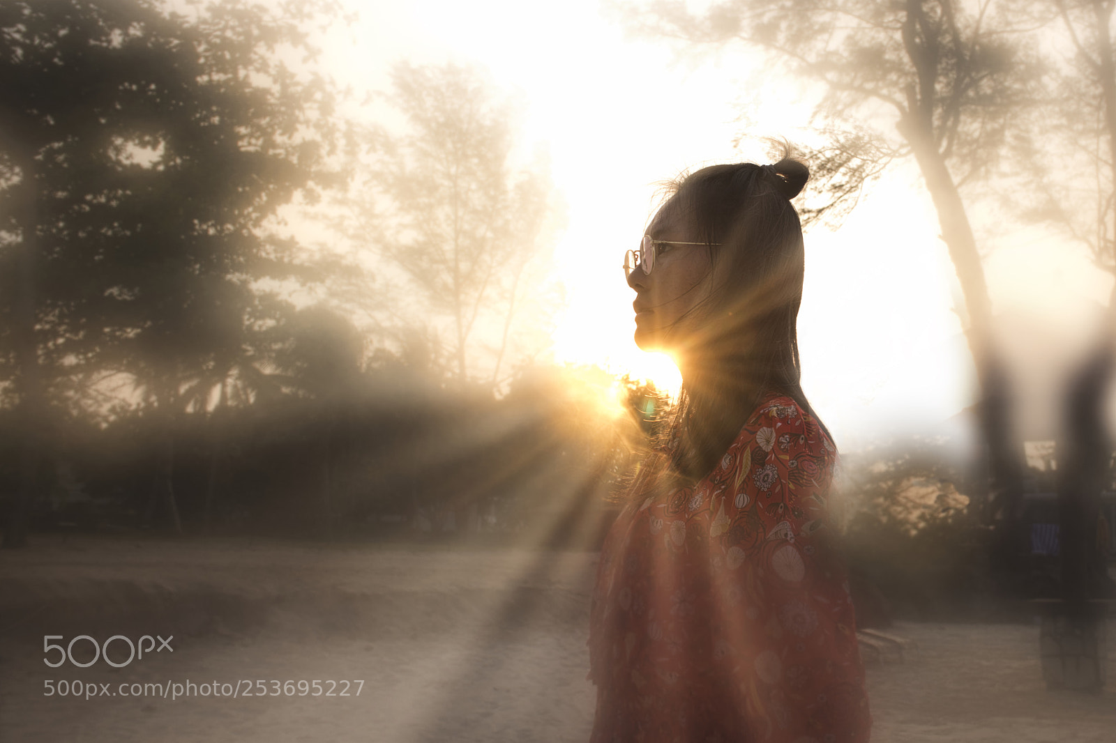 Nikon D850 sample photo. Sunlight basking photography