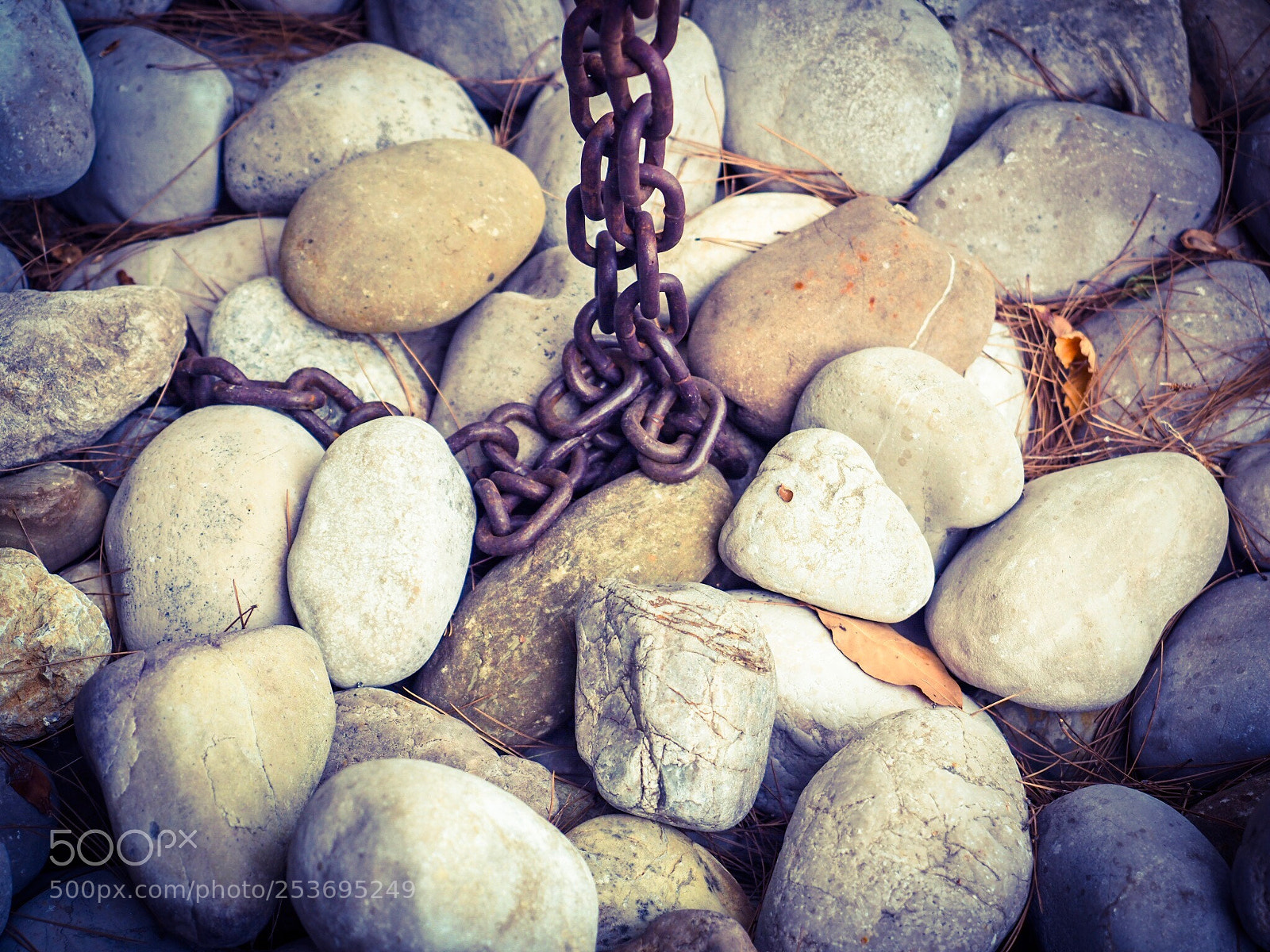 Olympus OM-D E-M1 Mark II sample photo. Chain  photography
