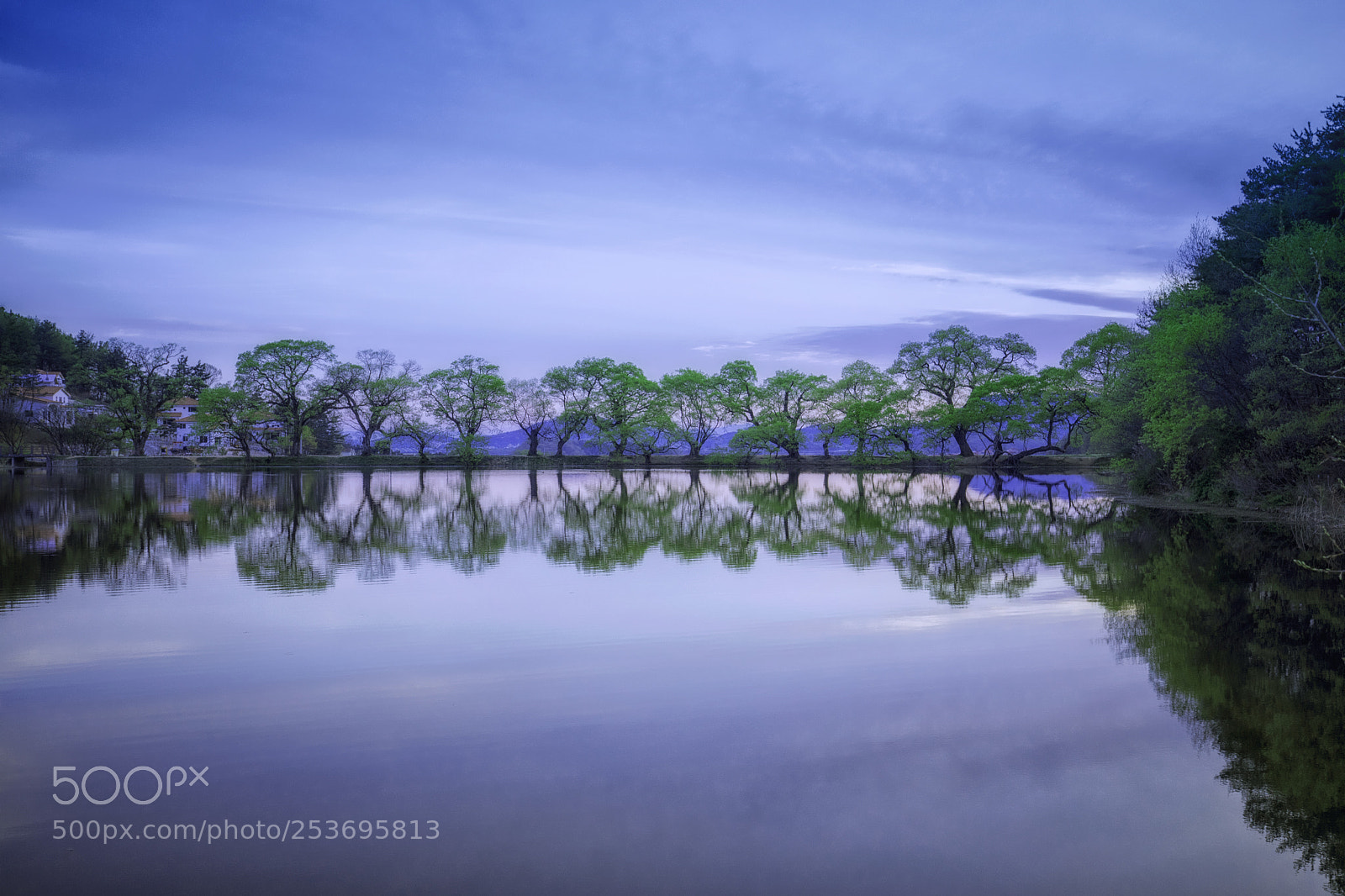 Canon EOS 5D Mark IV sample photo. Reflections photography