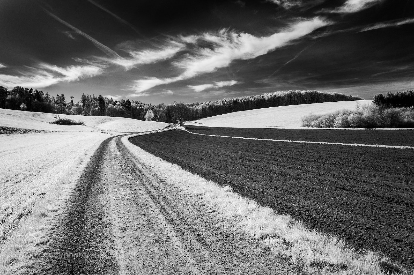 Sony Alpha NEX-5R sample photo. Clouds in ir photography