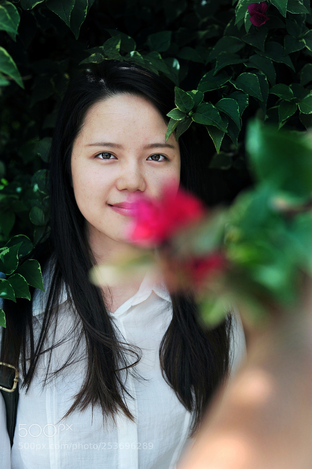 Nikon D700 sample photo. Sunny photography