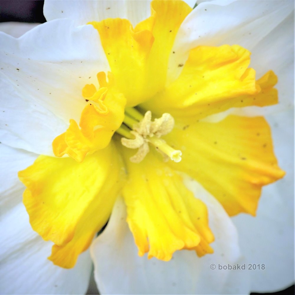 Olympus E-620 (EVOLT E-620) sample photo. Narcis photography