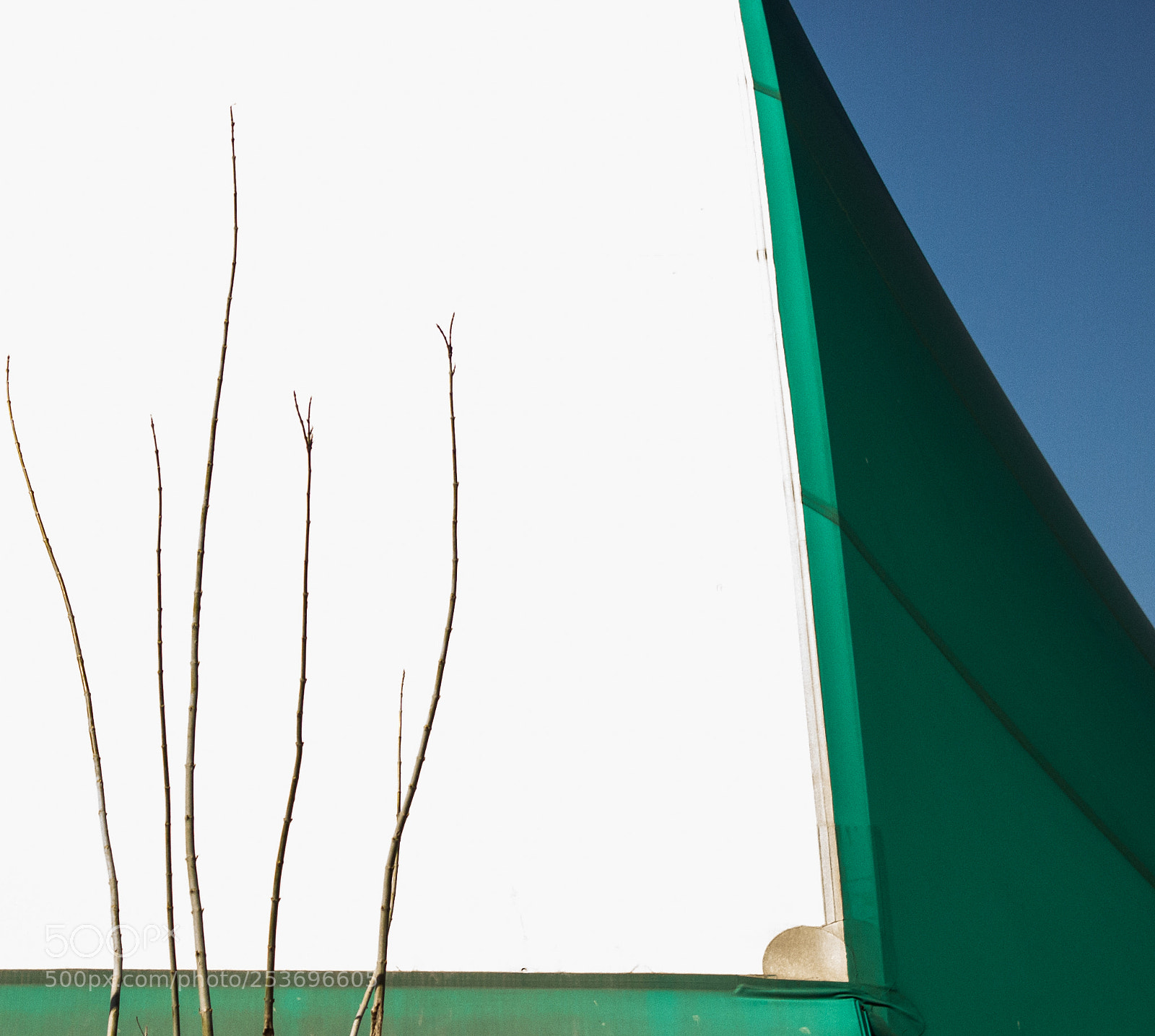 Canon EOS 550D (EOS Rebel T2i / EOS Kiss X4) sample photo. Palestra photography