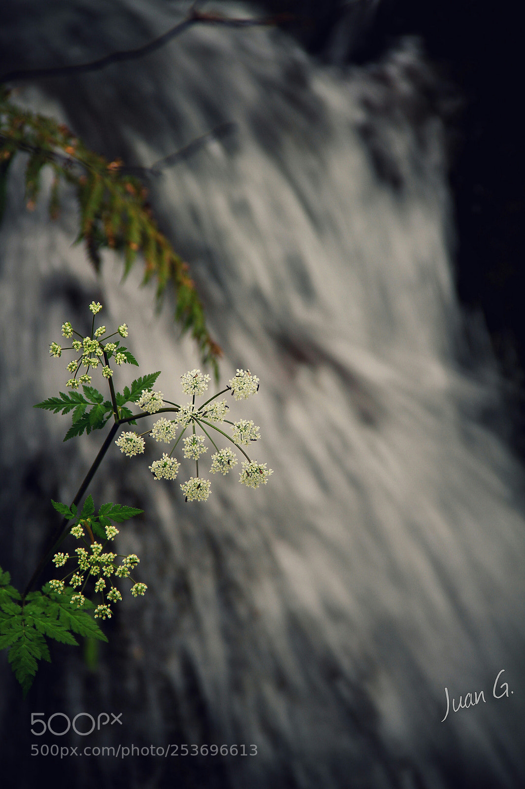 Canon EOS 7D sample photo. Untitled photography