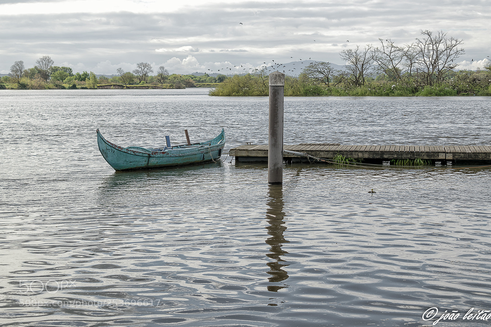 Nikon D3300 sample photo. River tejo landscapes photography