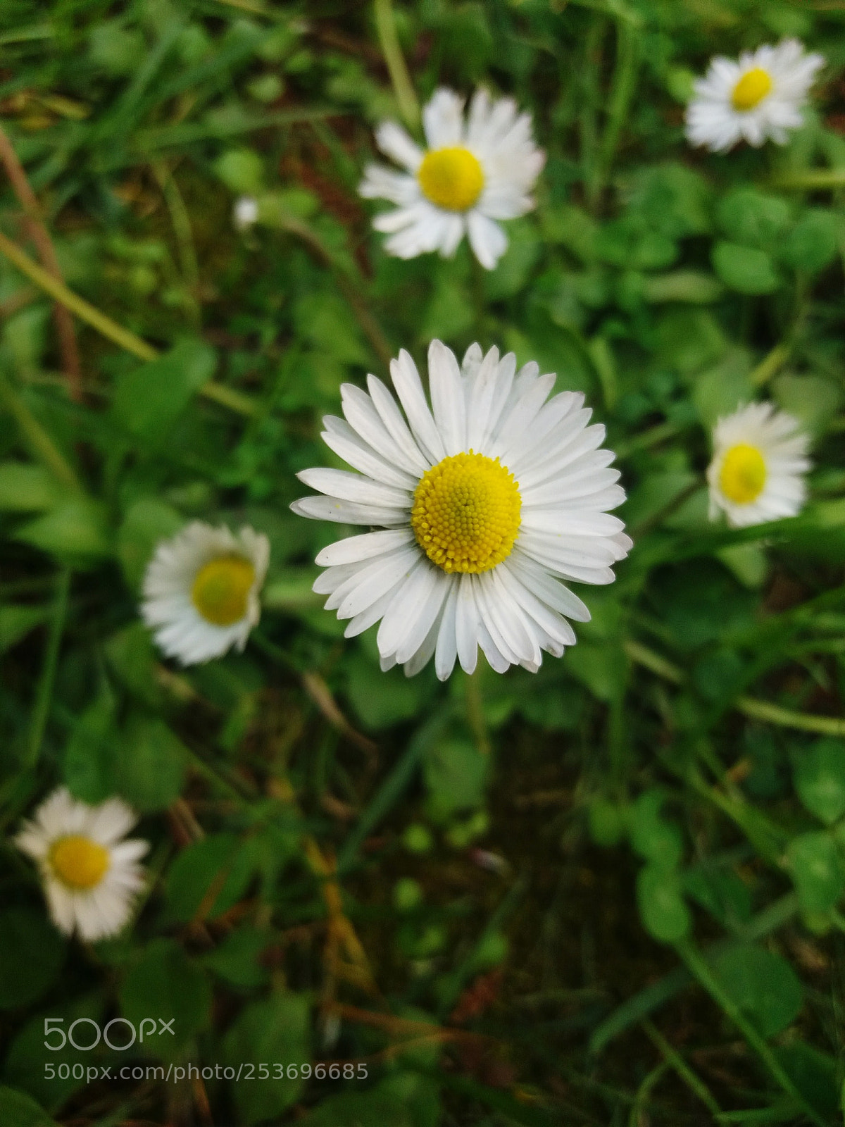 Samsung Galaxy J5(2016) sample photo. Untitled photography