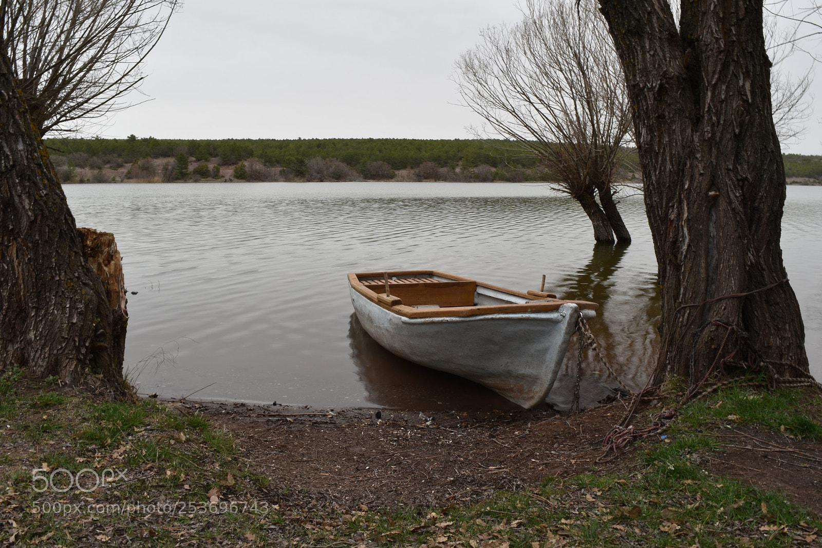Nikon D5500 sample photo. Boat on the river photography