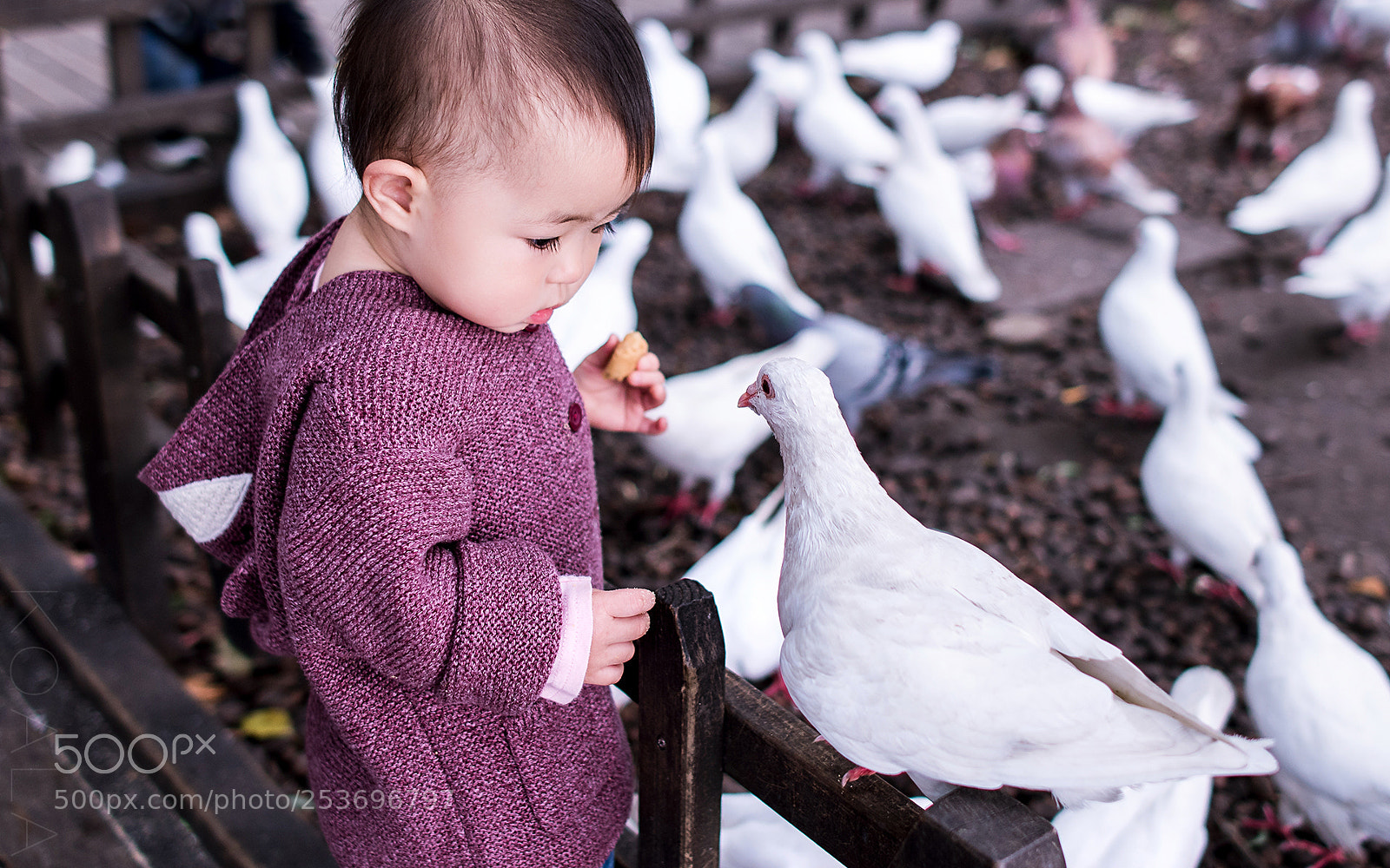 Nikon D810 sample photo. 确认过眼神 photography