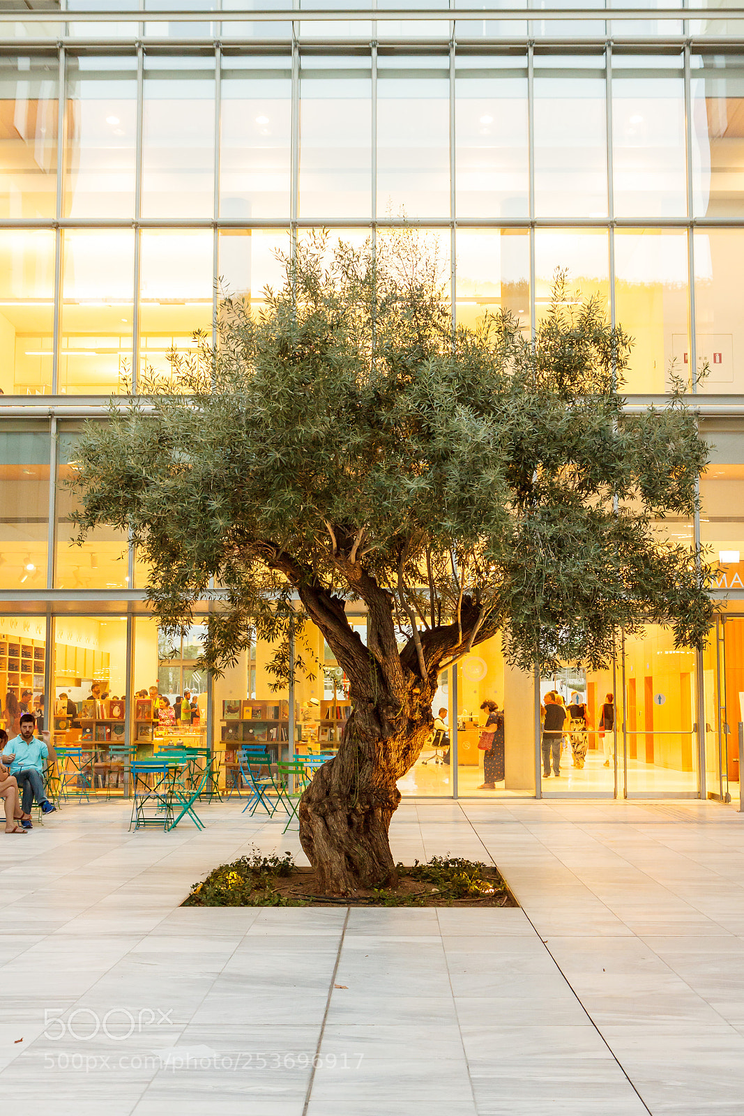 Canon EOS 50D sample photo. Stavros niarchos foundation cultural photography
