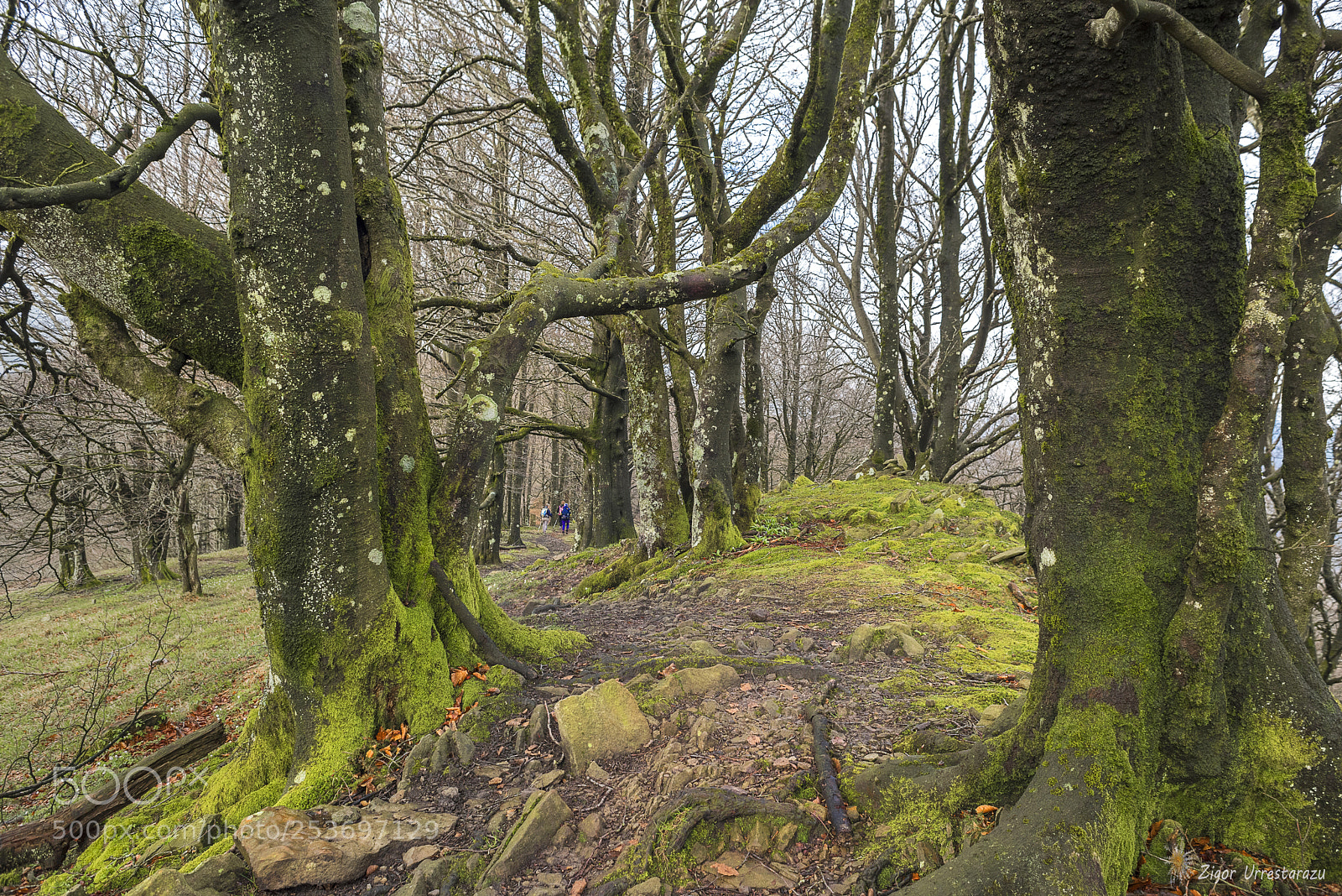 Nikon D810 sample photo. The old way. photography