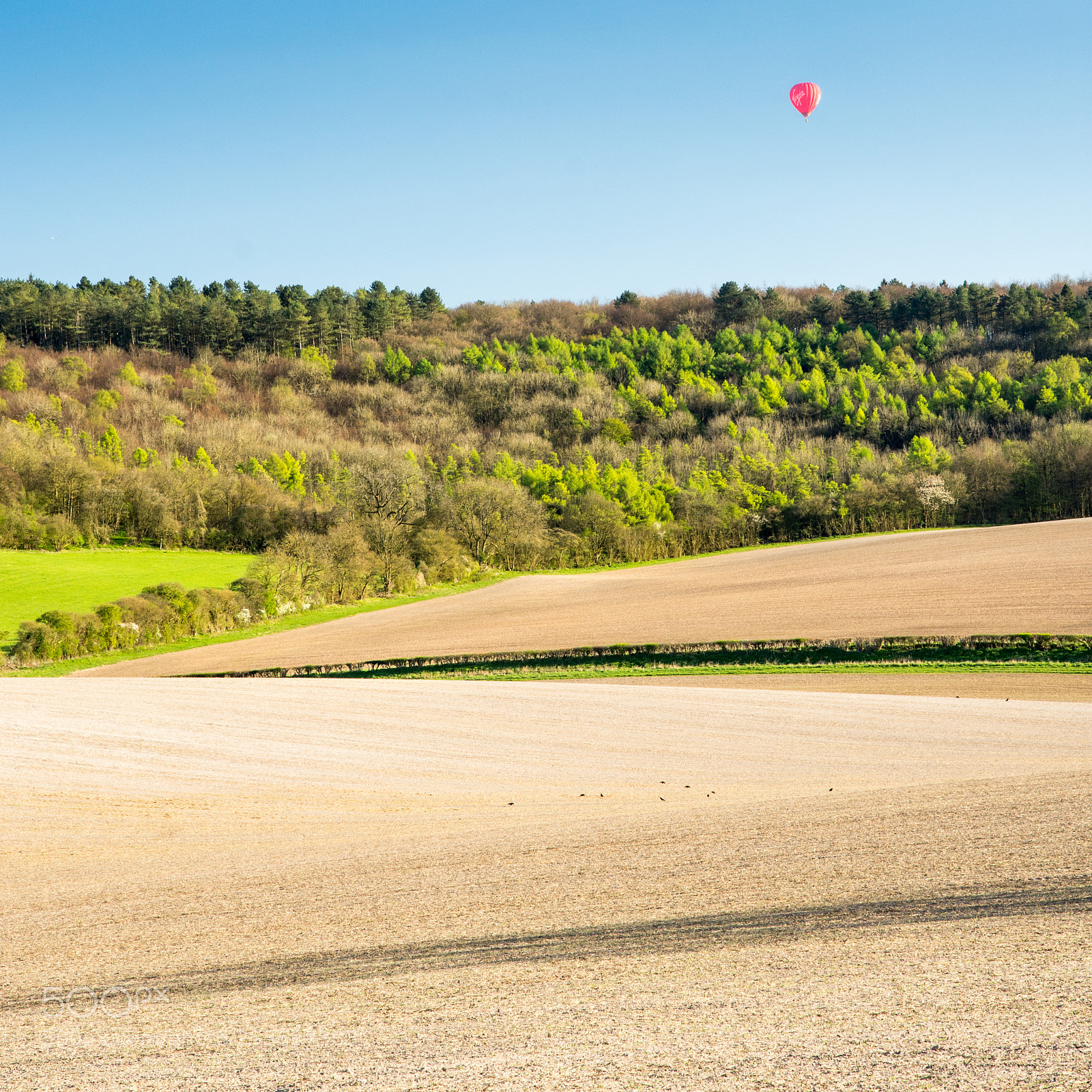 Nikon D7200 sample photo. Hot air balloon in photography