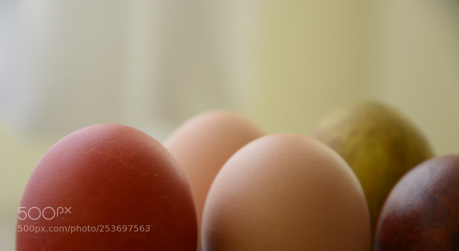 Nikon D7100 sample photo. Eggs photography