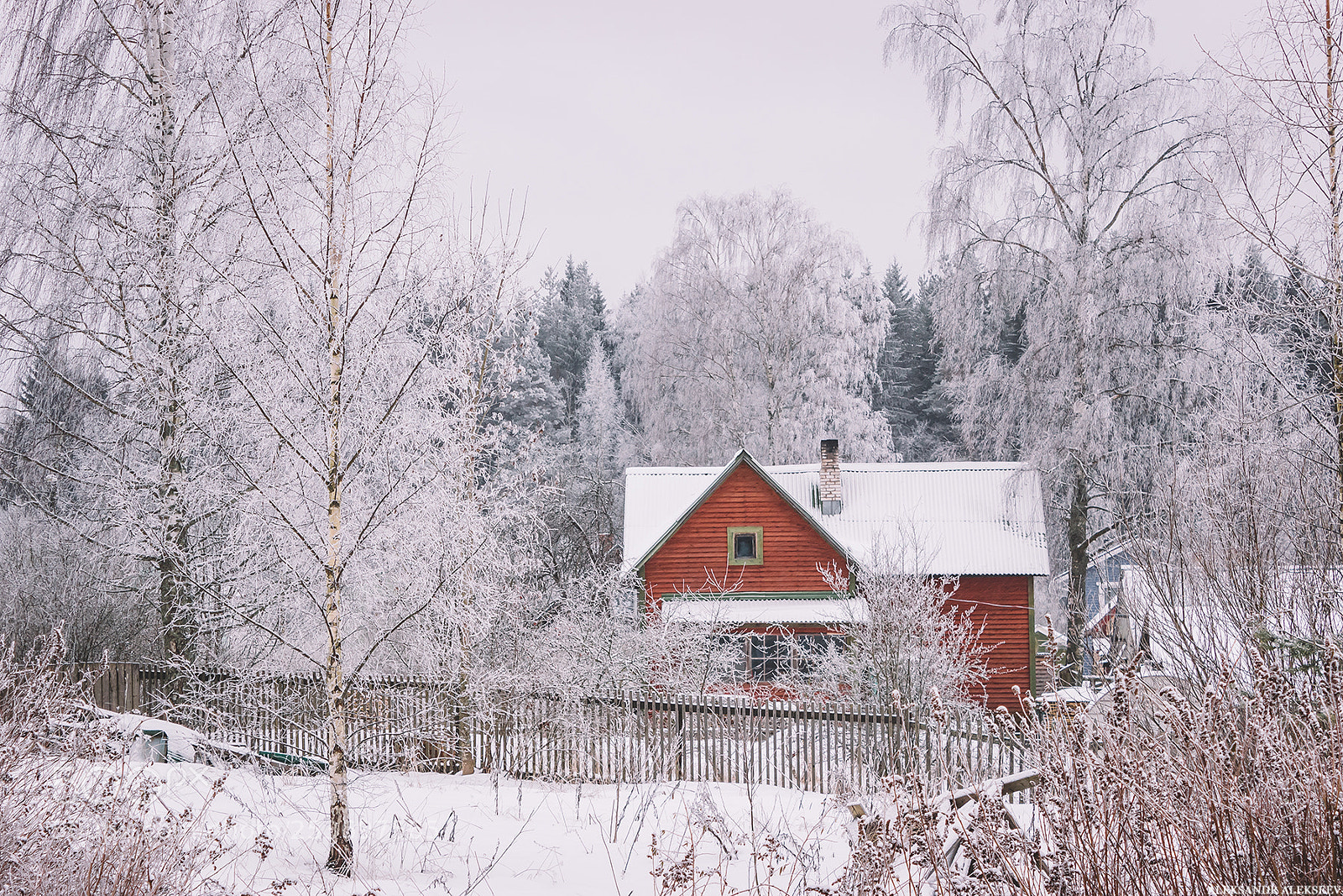 Canon EOS 600D (Rebel EOS T3i / EOS Kiss X5) sample photo. Winter nature photography