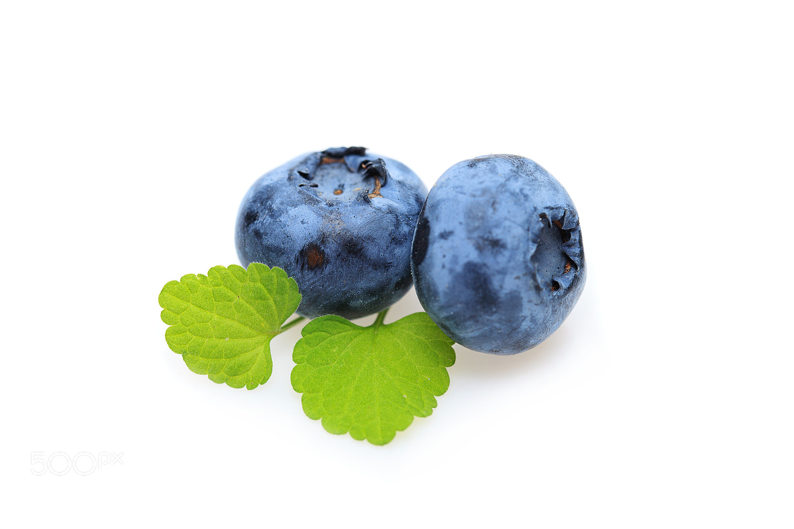 Canon EOS 5D Mark II sample photo. Blueberry berries isolated on photography