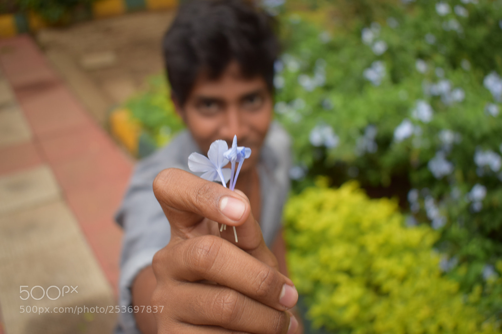 Nikon D3300 sample photo. Cute proposal photography