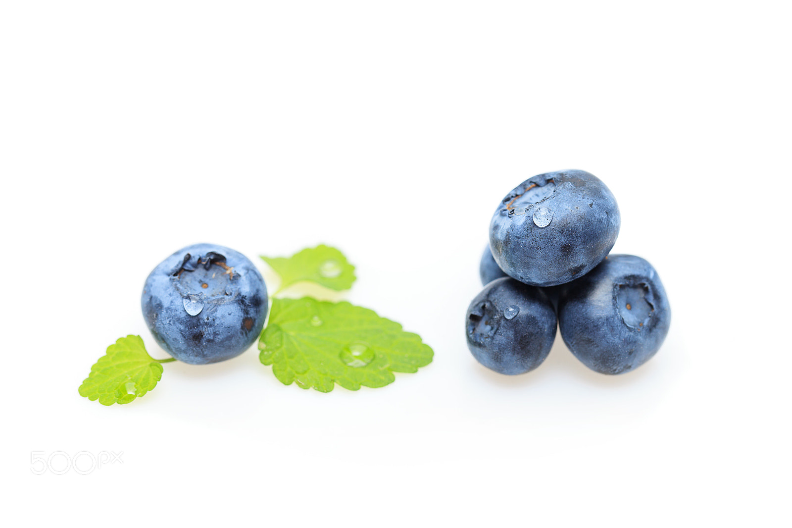 Canon EOS 5D Mark II sample photo. Blueberry berries isolated on photography