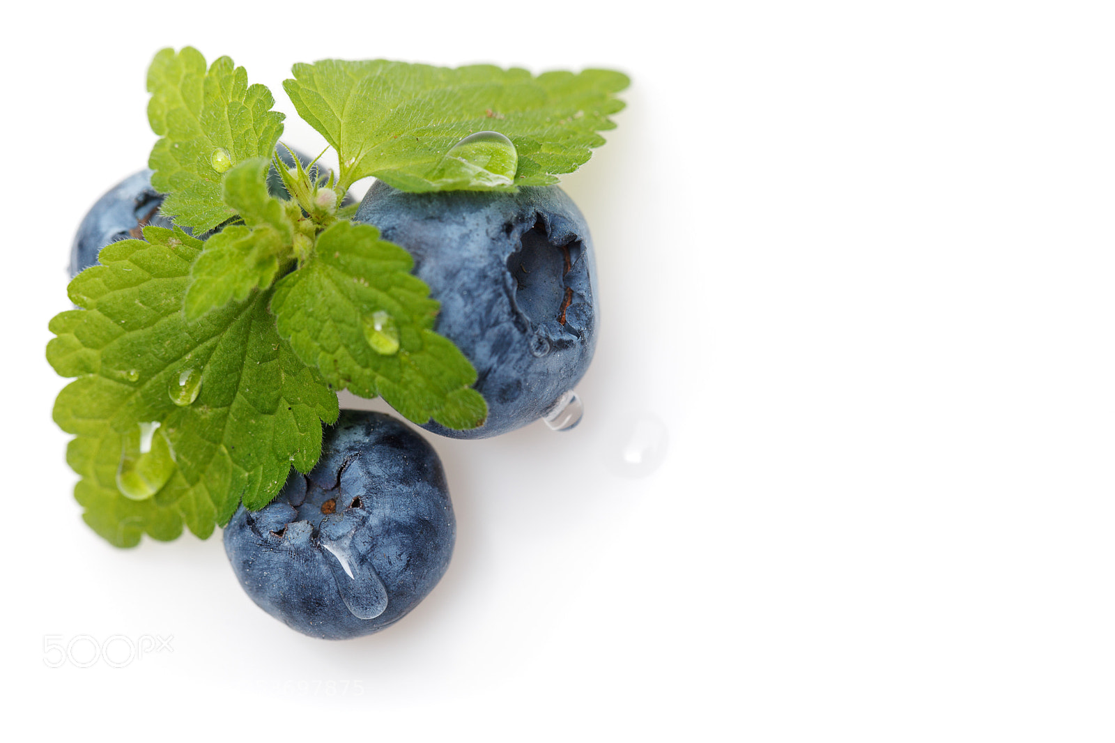 Canon EOS 5D Mark II sample photo. Blueberry berries isolated on photography