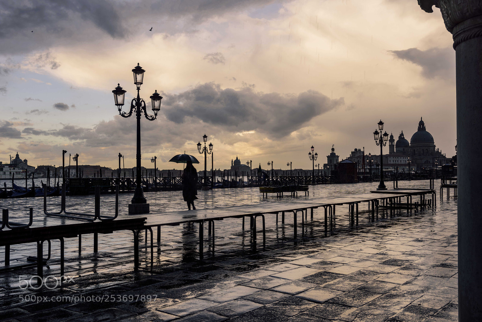 Nikon D810 sample photo. Venice photography