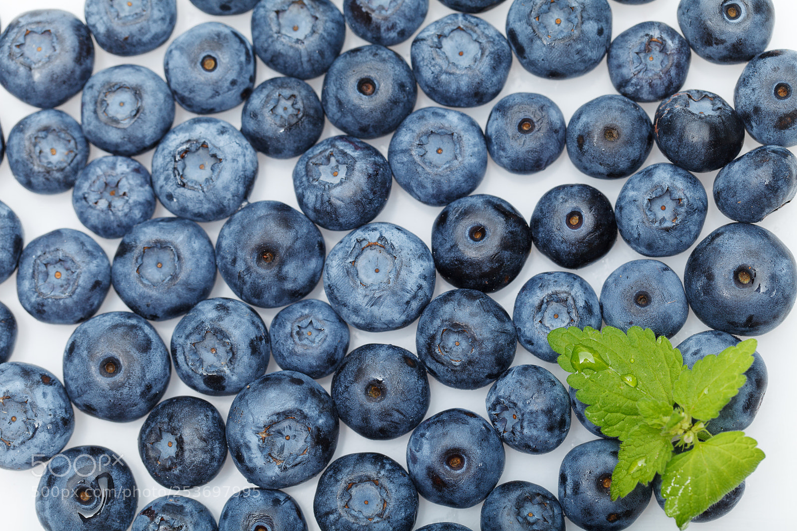 Canon EOS 5D Mark II sample photo. Blueberry berries isolated on photography