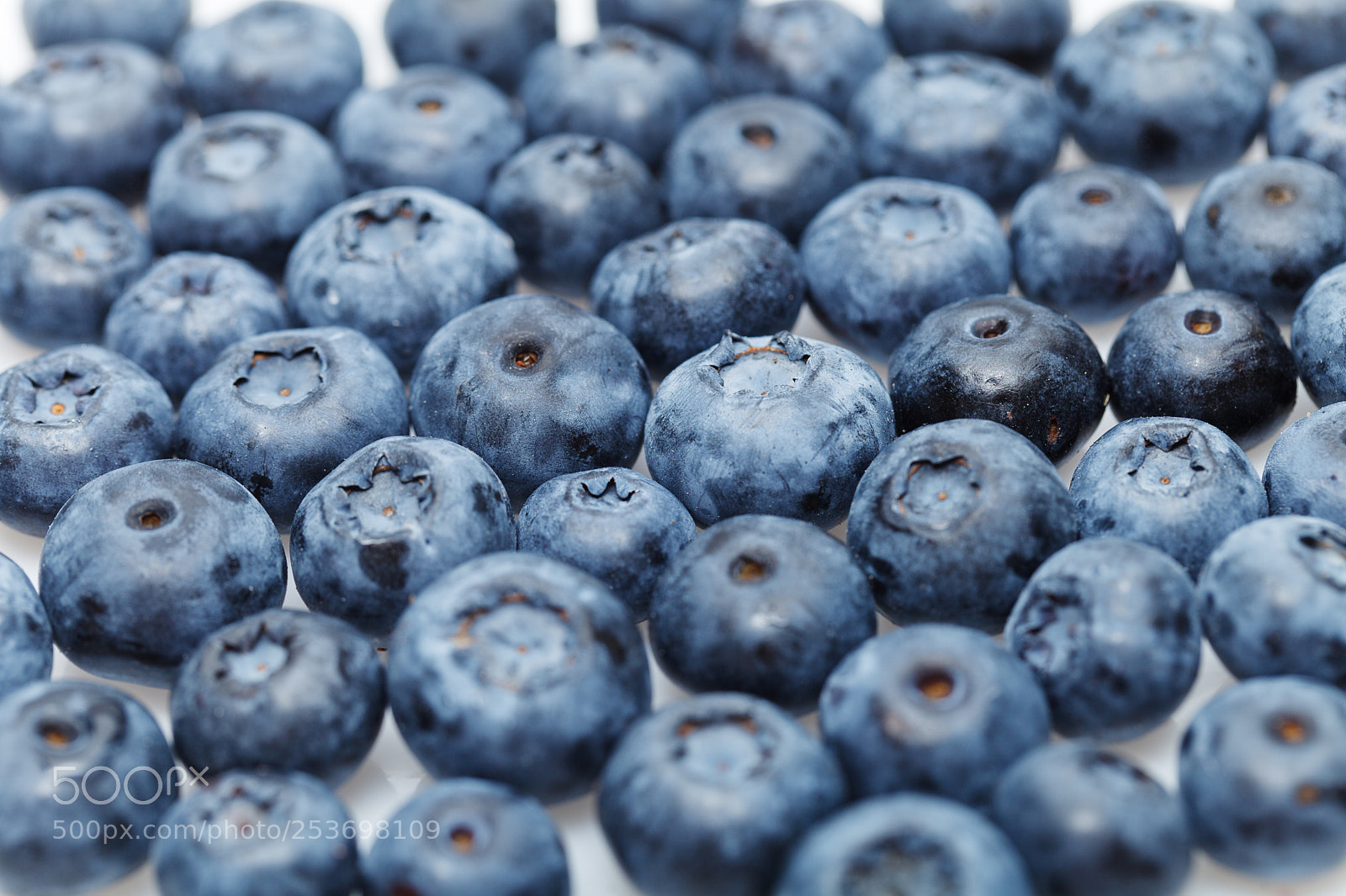 Canon EOS 5D Mark II sample photo. Blueberry berries isolated on photography
