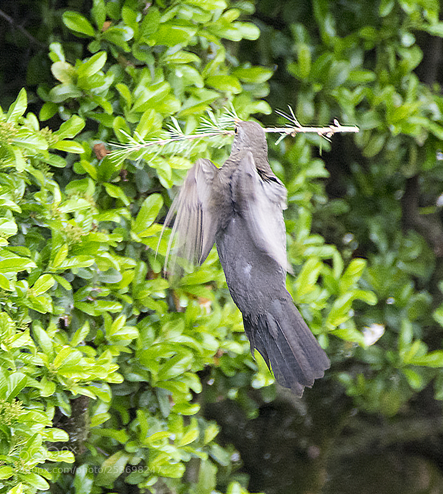 Nikon D7100 sample photo. Care for the nest photography