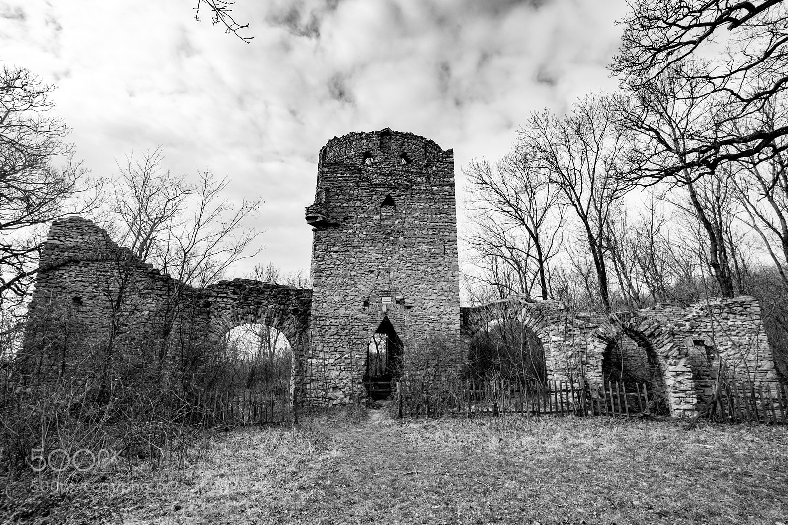 Nikon D5300 sample photo. Hanselburg photography