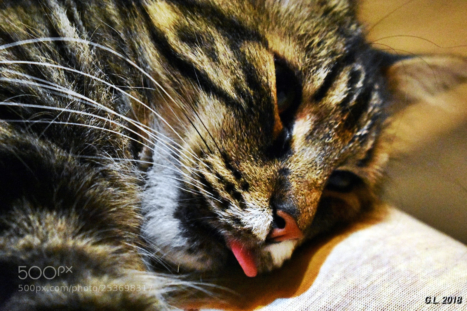 Nikon D3400 sample photo. Untitled photography