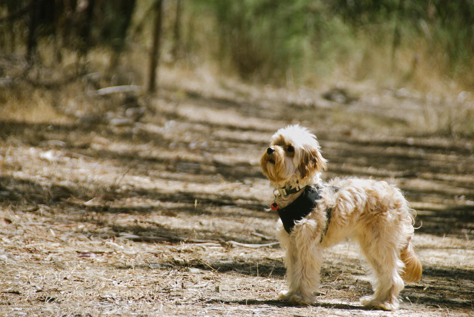 Nikon D80 sample photo. Untitled photography