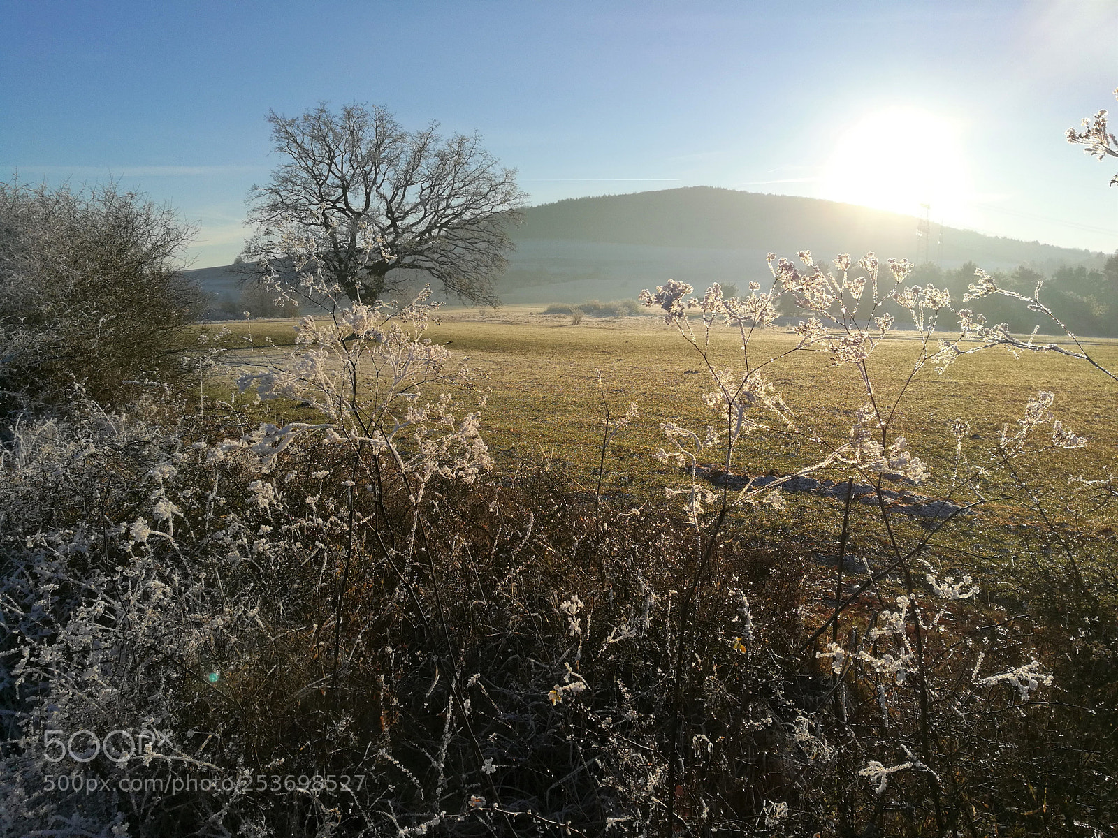 HUAWEI Honor 8 sample photo. Frozen photography