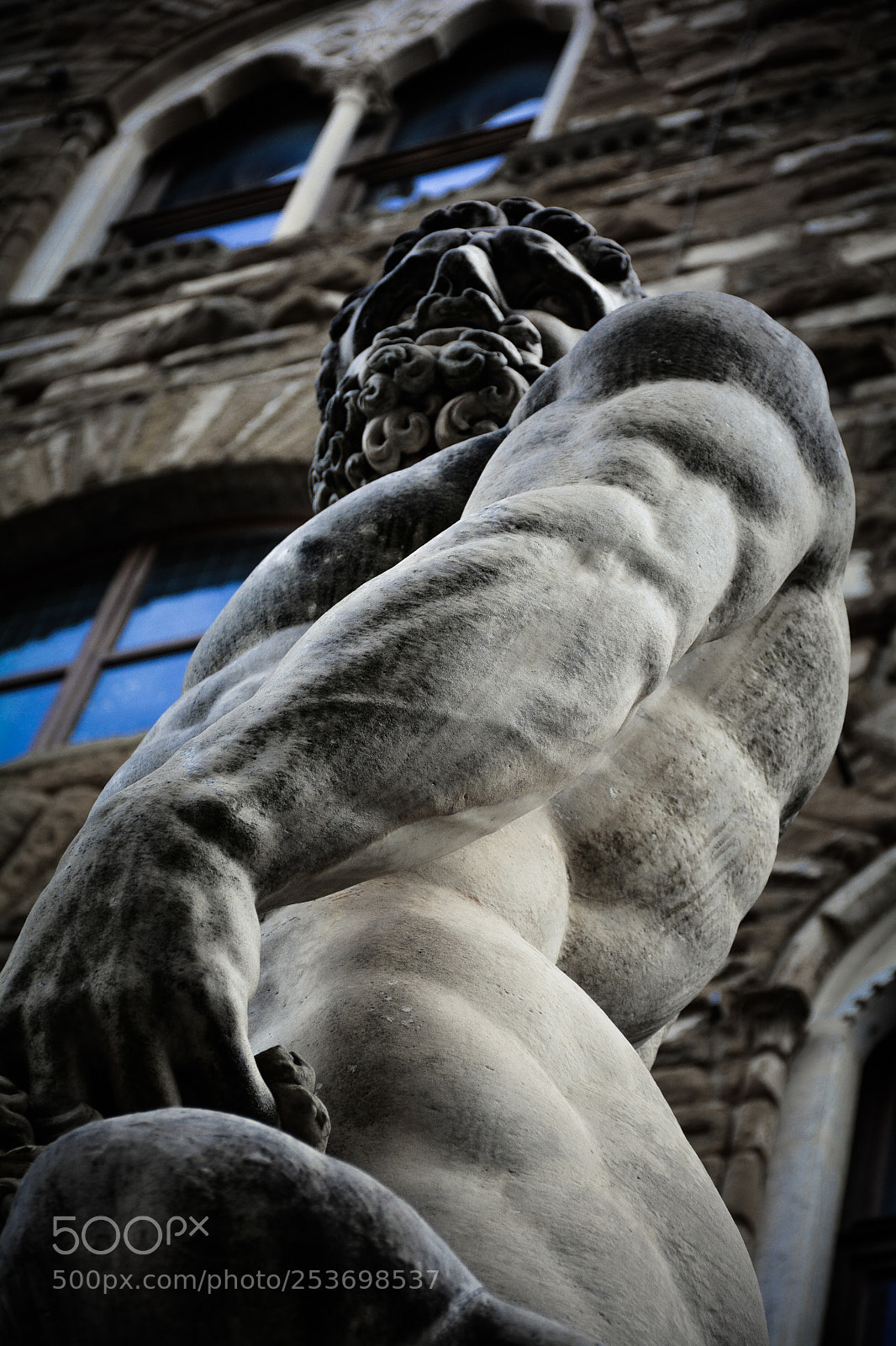 Nikon D7100 sample photo. Muscle photography