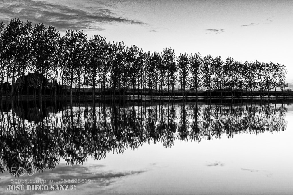 Nikon D300 sample photo. Crecida r o ebro photography
