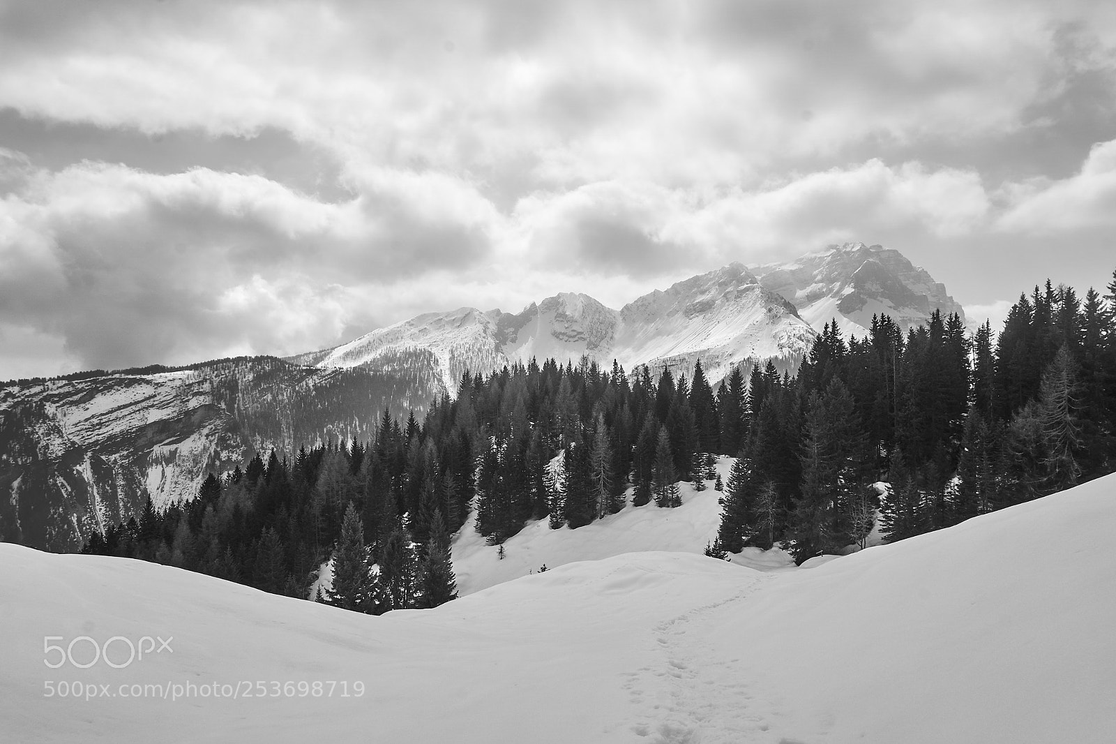 Sony a6000 sample photo. Forest in the snow photography