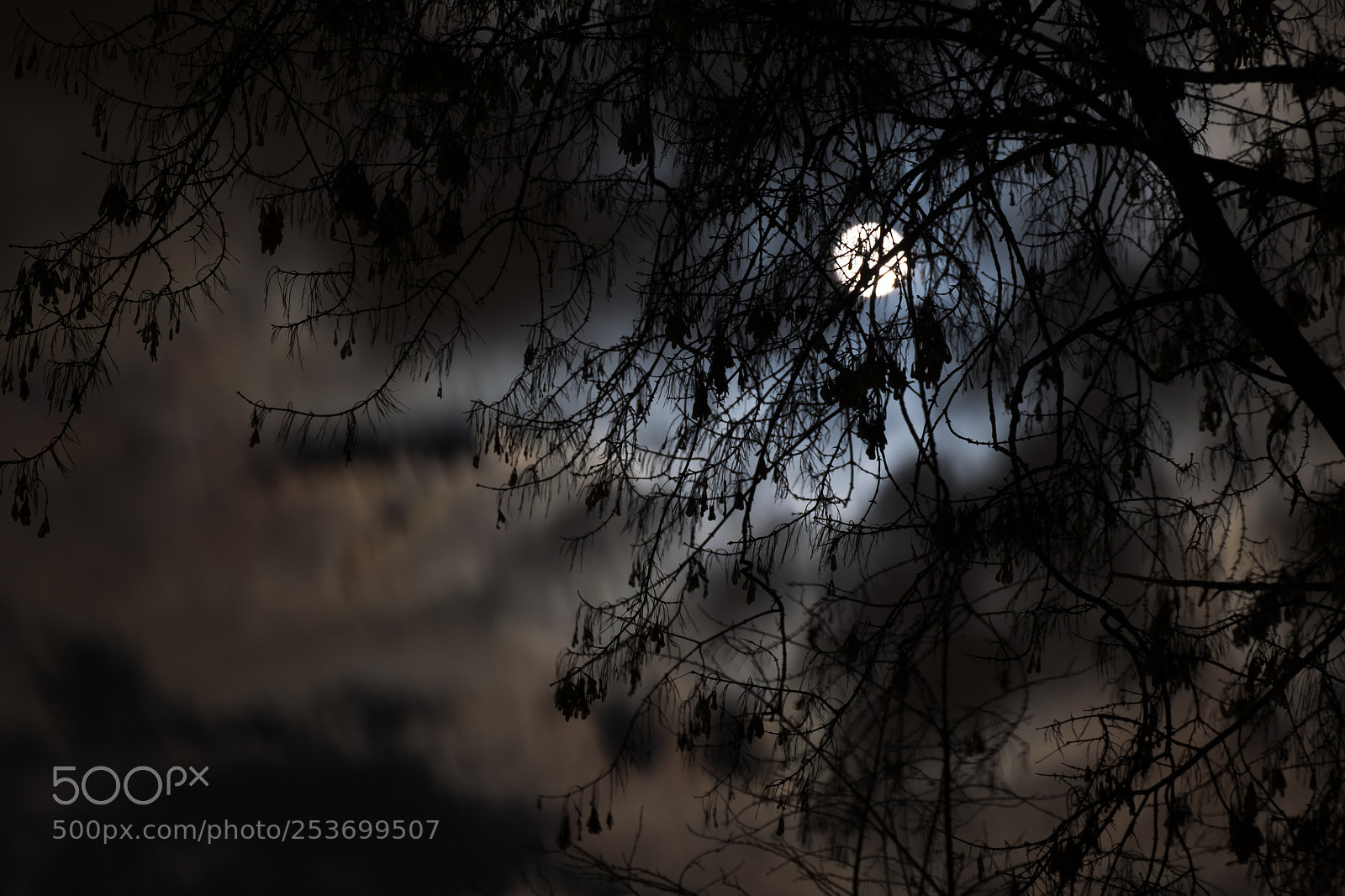 Fujifilm X-T10 sample photo. Night light photography