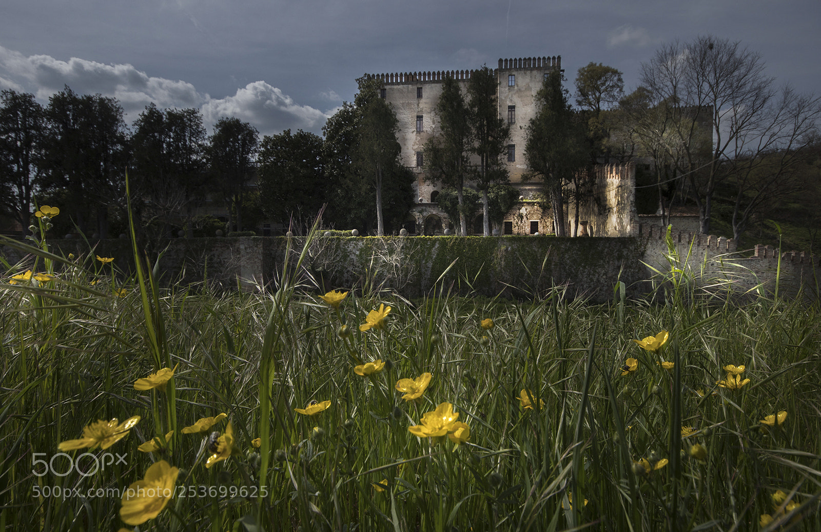 Canon EOS 80D sample photo. Catajo photography