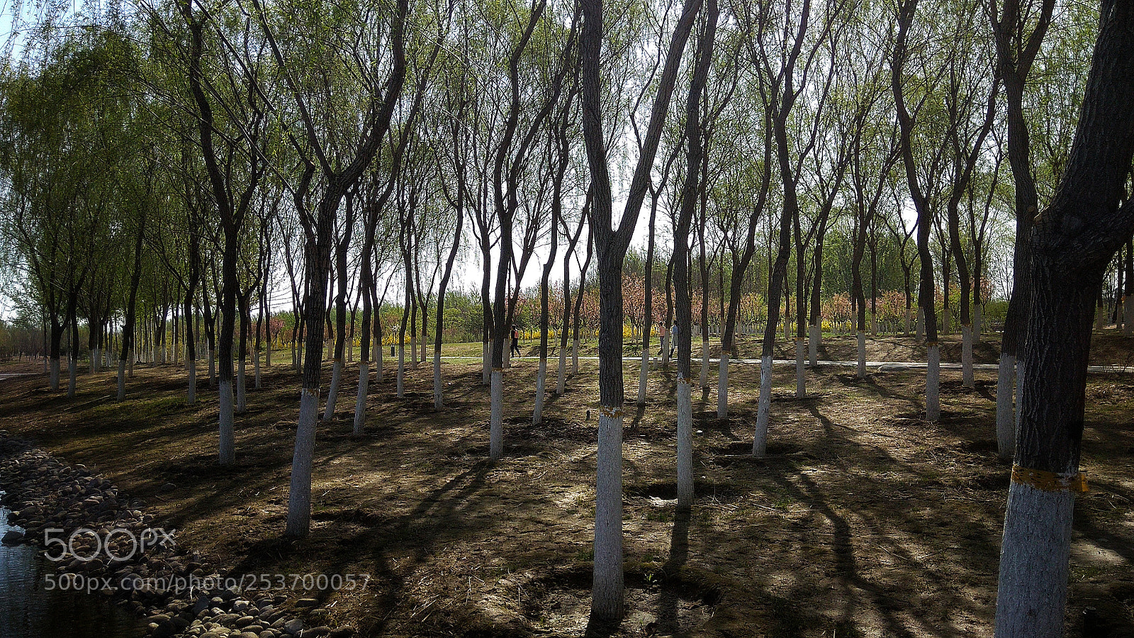 Xiaomi Redmi Note 4X sample photo. 12 photography