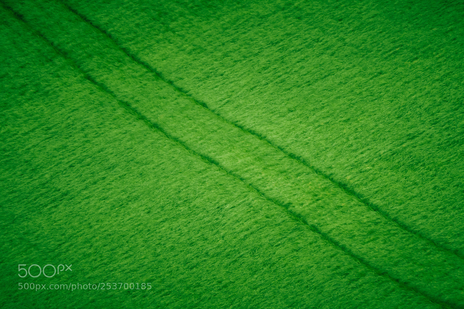 Sony Cyber-shot DSC-RX10 III sample photo. Abstract agriculture texture photography
