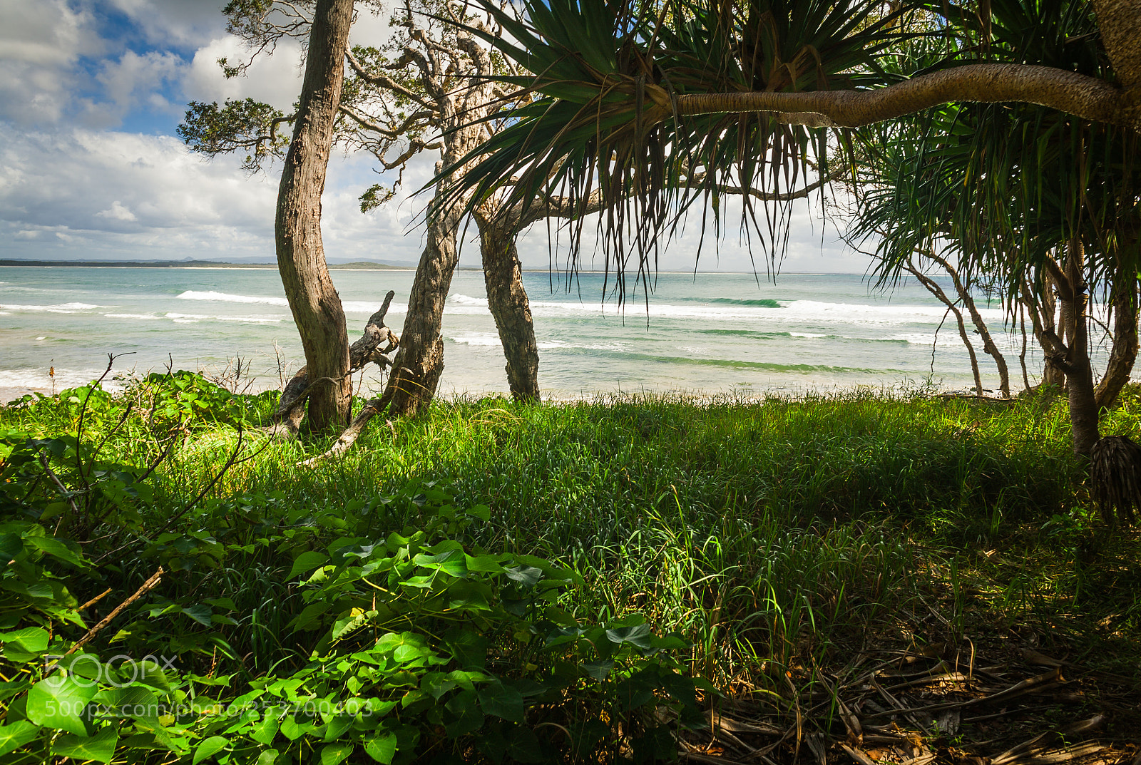 Canon EOS 5D sample photo. Tea tree bay, noosa photography