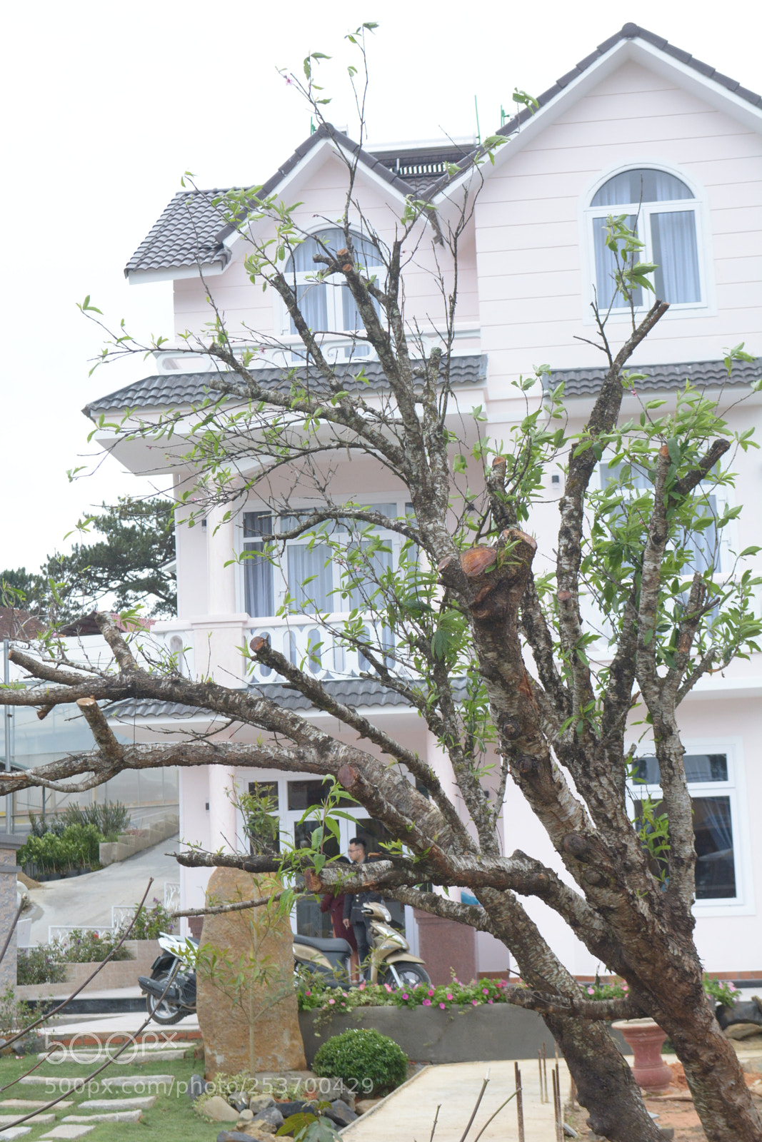 Nikon D5200 sample photo. Biet thu da lat photography