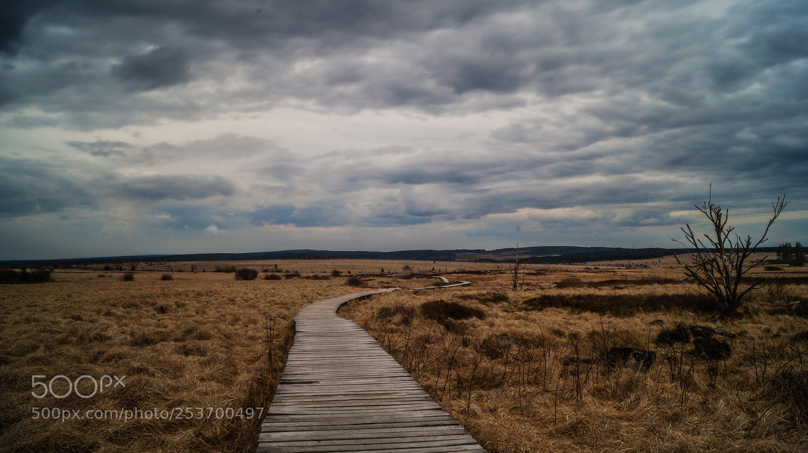 Sony SLT-A58 sample photo. Un samedi d'avril sur photography