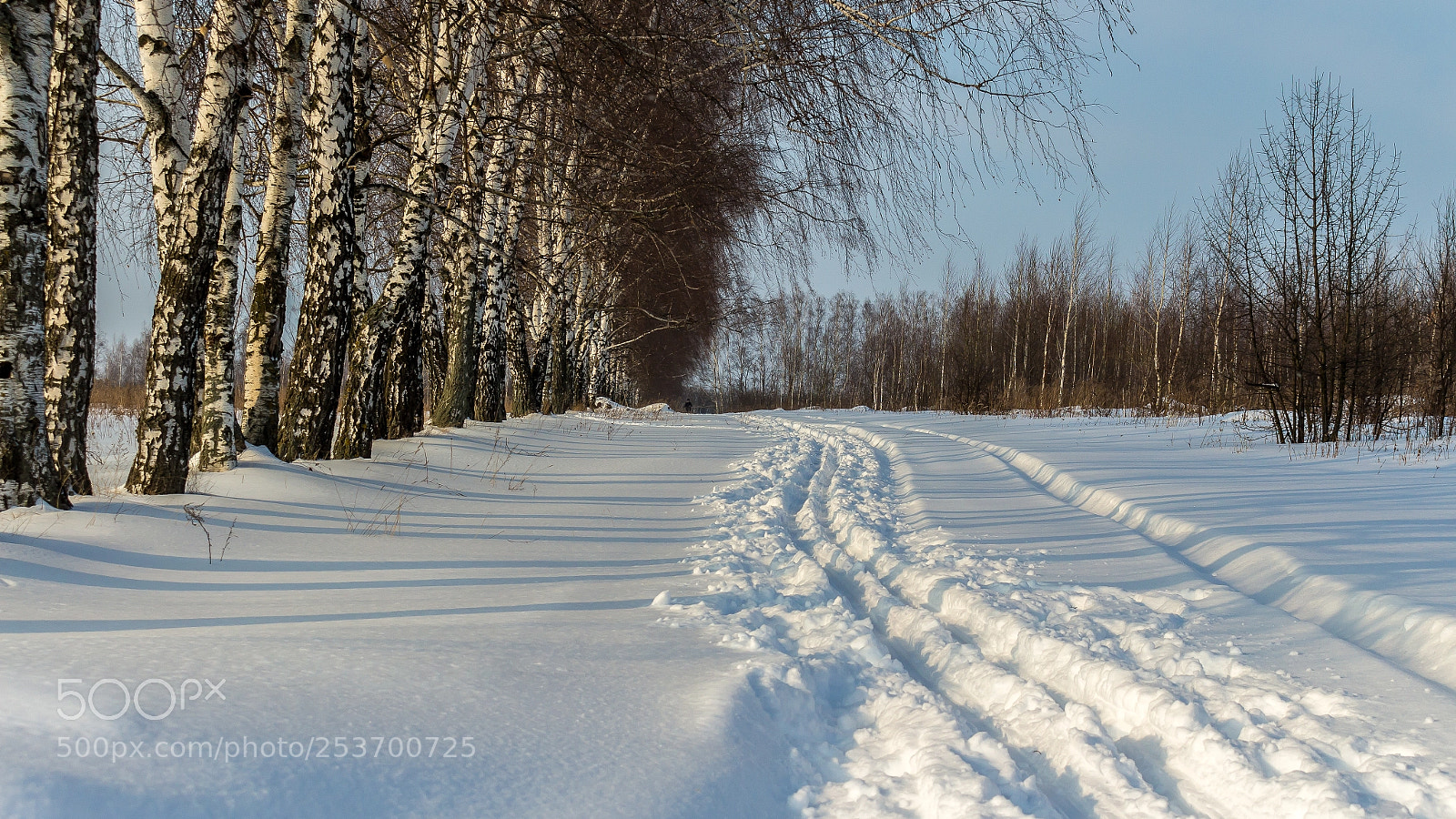 Canon EOS 100D (EOS Rebel SL1 / EOS Kiss X7) sample photo. Winter ski road in photography