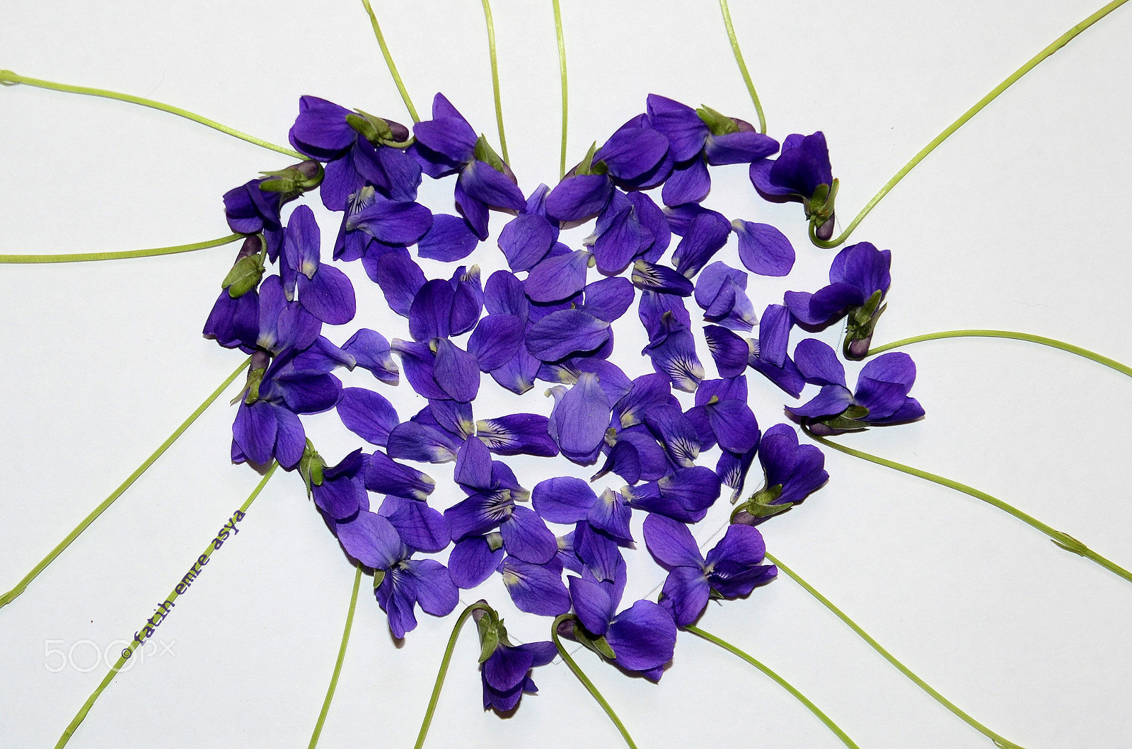 Nikon D7000 sample photo. Heart photography
