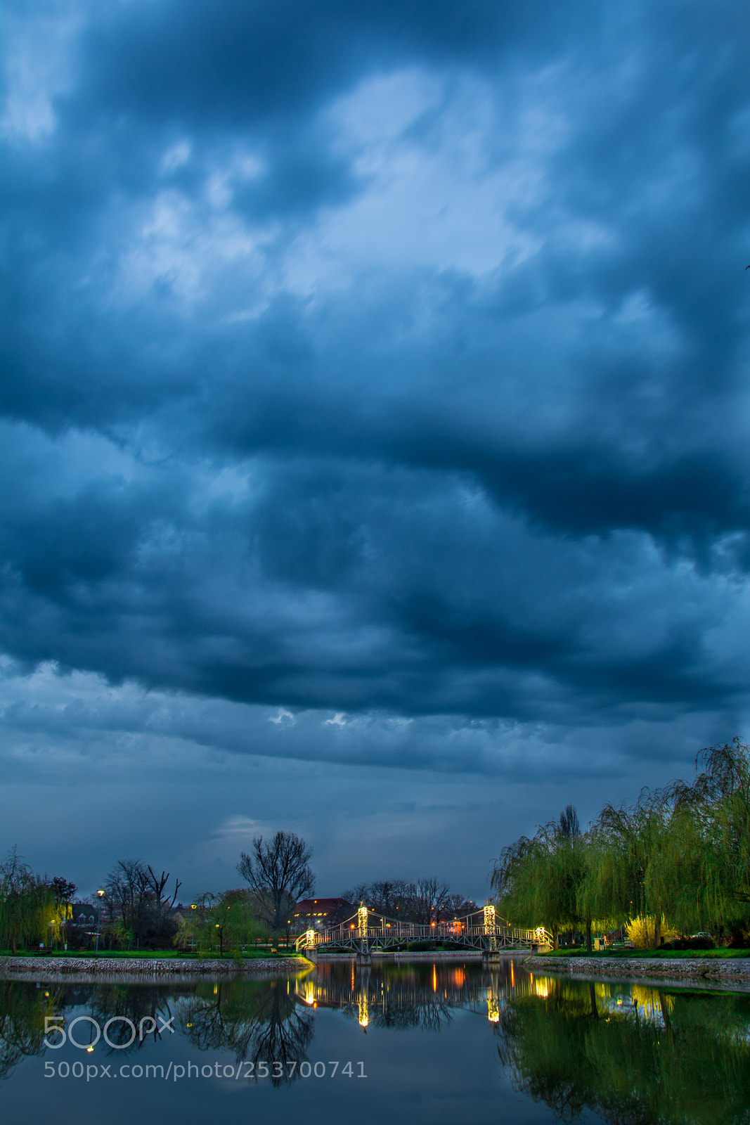 Nikon D7100 sample photo. Storm is arrived above photography