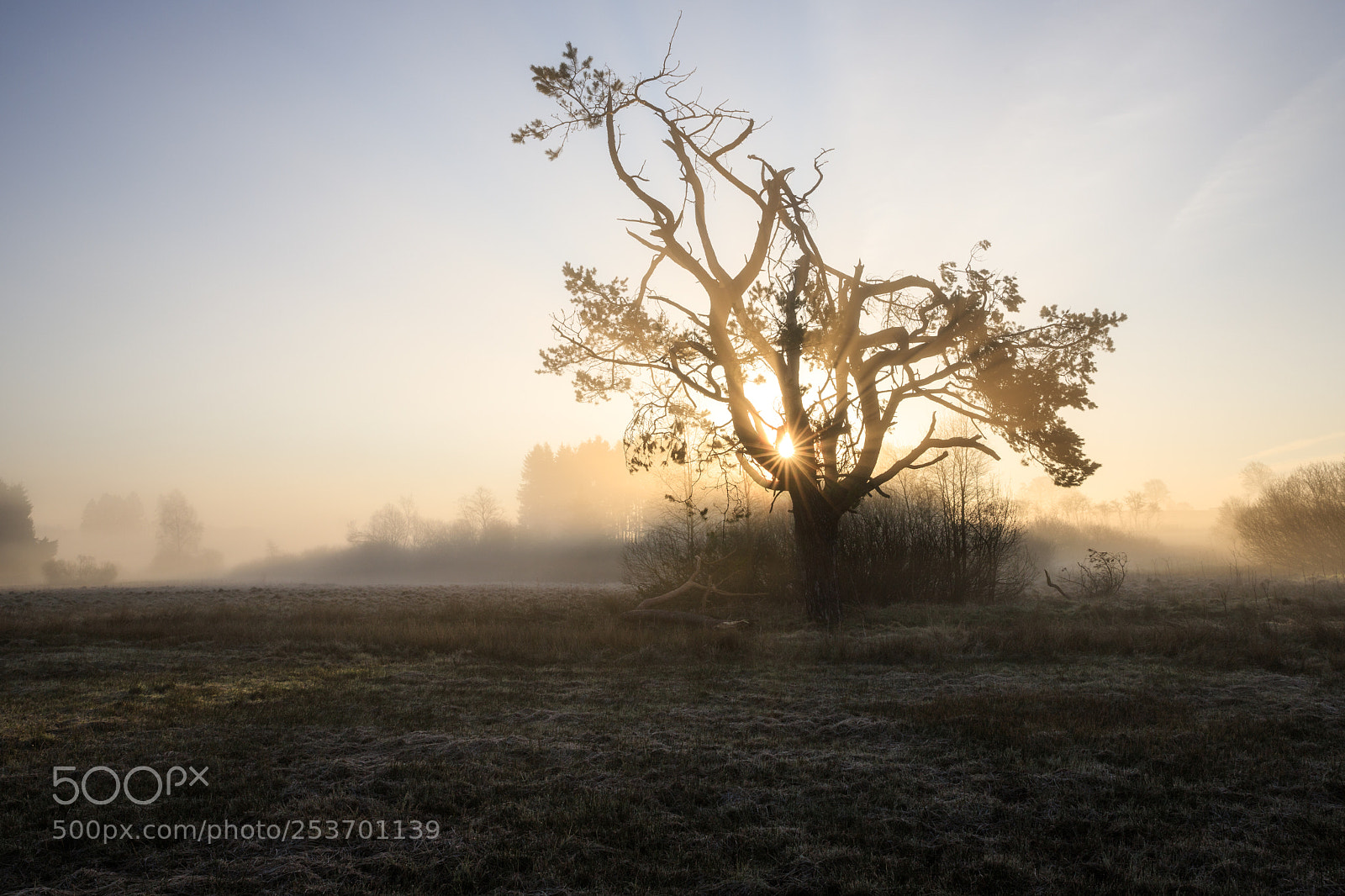 Canon EOS 6D Mark II sample photo. Wonderful sunrise photography